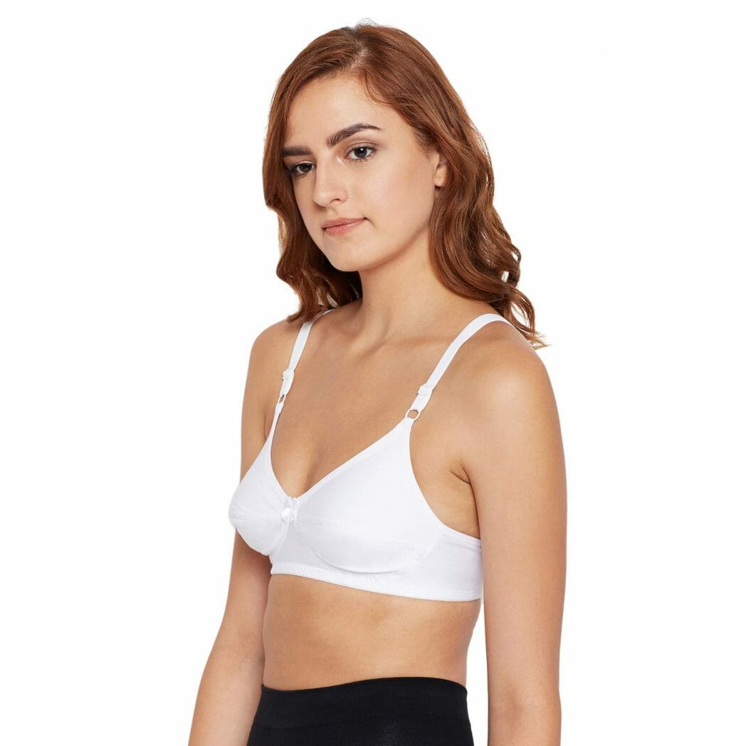 Buy Bodycare Perfect Coverage Padded Bra-Pack Of 2 - Multi-Color Online