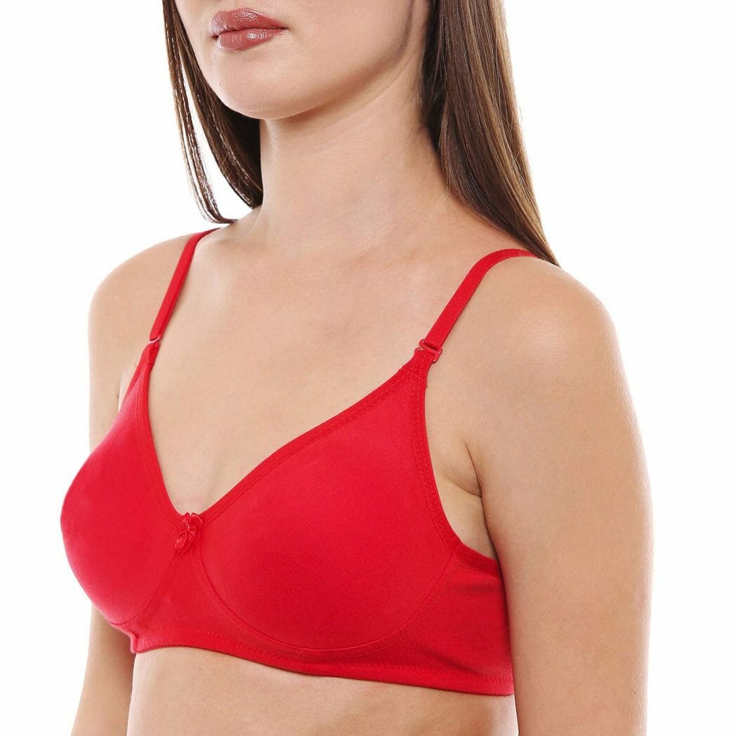 Buy Bodycare Seamless Padded Bra-B, C & D Cup Bra With Free Transparent  Straps-Pack Of 2 - Red Online