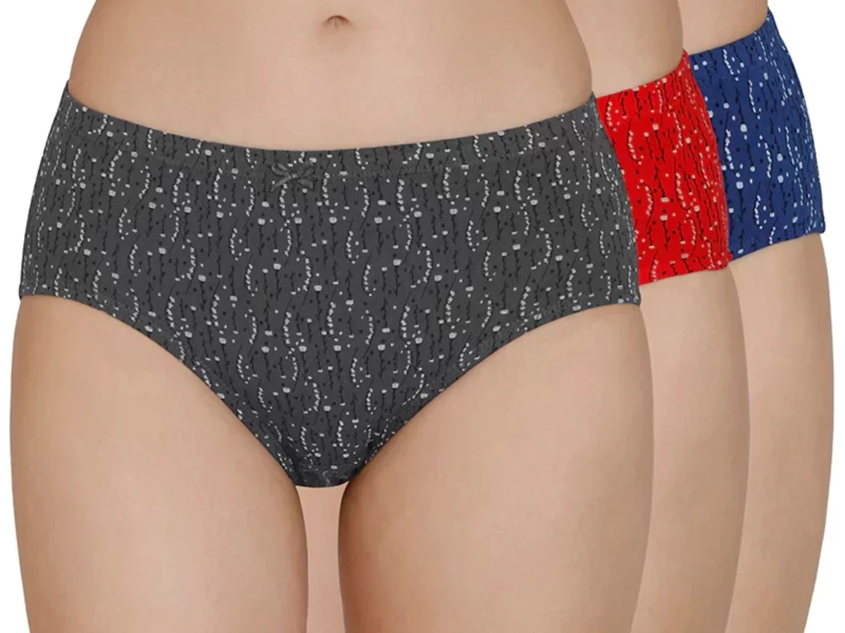 Fancy panty for women underwear hipster | women data