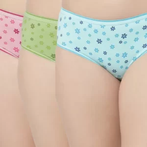Floret Hipster Printed Panty Pack of 4 In Multicolor #1300